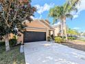 Two-story home with a two-car garage, driveway, and front yard at 18844 Hampstead Heath Ct, Land O Lakes, FL 34638