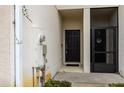 Front entryway with a black door, screen door, and electrical box at 4770 White Sanderling Ct, Tampa, FL 33619