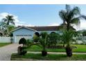 Landscaped yard with palm trees and a light blue house at 1713 Grand Central Dr, Tarpon Springs, FL 34689