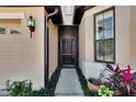 House front door with screen door and walkway at 204 Mystic Falls Dr, Apollo Beach, FL 33572