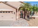 House entrance with a paved walkway and palm trees at 727 Grand Canyon Dr, Valrico, FL 33594