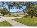 Tan one-story house with a two-car garage and large oak tree at 970 Rolling Hills Dr, Palm Harbor, FL 34683