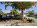 Inviting home featuring mature palm trees and a well-manicured lawn adding to its curb appeal at 1612 Sunset Dr, Tarpon Springs, FL 34689