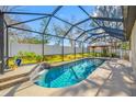 Inviting screened-in pool area featuring a shimmering pool with a waterfall feature and ample space for lounging at 11652 Palmetto Pine St, Riverview, FL 33569