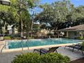 Community swimming pool with lounge chairs and lush greenery, offering a relaxing outdoor space at 209 Red Cedar Pl # 209, Brandon, FL 33510