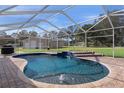 Kidney-shaped pool with a waterfall feature and screened enclosure at 5171 Bone Ln, Brooksville, FL 34604