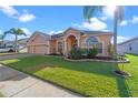 Charming house with a large front yard and palm trees at 1406 Deerbourne Dr, Wesley Chapel, FL 33543