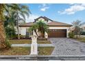 House exterior with a brick driveway and palm trees at 18052 Java Isle Dr, Tampa, FL 33647