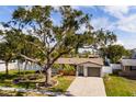 Single-Gathering home with a large tree in the front yard, and a spacious driveway at 5801 Venetian Ne Blvd, St Petersburg, FL 33703
