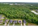 Aerial view of a neighborhood with a large green space and houses at 26888 Fiddlewood Loop, Wesley Chapel, FL 33544