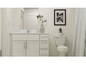 Clean bathroom with white vanity, toilet, and a framed print at 11907 Blue Diamond Trl, Parrish, FL 34219