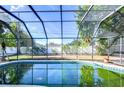 Enclosed pool area with screened patio and yard view at 3613 S Omar Ave, Tampa, FL 33629