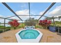 Beautiful screened-in pool area featuring an octagonal-shaped jacuzzi, red plants, and a blue sky backdrop at 2337 Platinum Dr, Sun City Center, FL 33573