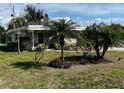 Well landscaped front yard with green grass, shrubbery and various palm trees at 72 Liberty Way # 4, Palm Harbor, FL 34684