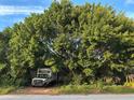A home partially obscured by lush, mature trees and landscaping at 2733 34Th N Ave, St Petersburg, FL 33713