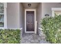 Dark brown front door with a brick walkway and landscaping at 12231 Streambed Dr, Riverview, FL 33579