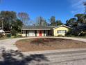 Ranch house with red front door and a large yard at 4511 W San Rafael St, Tampa, FL 33629