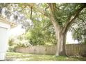 Large backyard with a mature oak tree and wooden fence at 6741 Willits Ave, New Port Richey, FL 34655