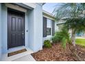 The home's entry has a black front door and is nicely landscaped with rocks and green plants at 4735 Rolling Green Dr, Wesley Chapel, FL 33543