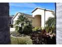 View of the front of a home with mature palm trees and tropical landscaping at 11021 Edge Park Dr, Hudson, FL 34667