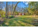 Large backyard with a red storage shed surrounded by tall trees, offering both functionality and serene landscape at 11201 Knotty Pine Dr, New Port Richey, FL 34654