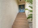 Inviting front entrance features a blue door and stairs leading up to the home at 4514 Dewey Dr, New Port Richey, FL 34652