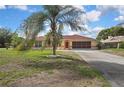 Inviting single-story home with mature palm trees, a two-car garage, and a well-kept lawn at 10412 Ireland St, Spring Hill, FL 34608
