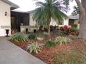 Landscaped front yard featuring a palm tree, various plants, and a walkway leading to the home at 1318 Leland Dr, Sun City Center, FL 33573