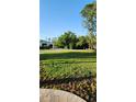A sprawling green lawn features mature trees, creating a peaceful and inviting outdoor space at 19018 Geraci Rd, Lutz, FL 33548