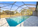 Beautiful screened-in pool with sun-drenched brick patio and tropical landscaping at 10920 Flint Estates Dr, Thonotosassa, FL 33592