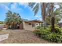 Lush backyard featuring tropical foliage, a pergola covered patio, and providing a private outdoor living space at 435 Meadowlark Ln, Palm Harbor, FL 34683