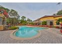 A large community pool area with lounge chairs, landscaping, and a seating area at 2160 Chianti Pl # 11-0117, Palm Harbor, FL 34683