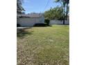 Lush backyard featuring a well-maintained lawn and a white fence, perfect for outdoor enjoyment at 6919 Greenhill Pl, Tampa, FL 33617