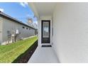 A bright white exterior view of the elegant black-framed front door, showcasing a welcoming entrance at 3739 Nandina Cir, Sun City Center, FL 33573