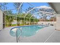 A refreshing screened-in pool surrounded by lush landscaping, perfect for outdoor relaxation at 4210 Harrisburg Ne St, St Petersburg, FL 33703