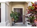 Inviting front entrance featuring a decorative door, a welcome sign, and lush potted plants at 26614 Castleview Way, Wesley Chapel, FL 33544