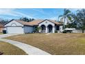 Charming single-story home featuring a two-car garage, neutral stucco exterior and well-maintained lawn at 4209 Amber Ridge Ln, Valrico, FL 33594
