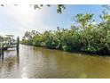 Scenic view of a tranquil canal with lush greenery along the banks at 8703 Driftwood Dr, Tampa, FL 33615