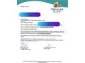 Property disclosure document indicating the home is NOT substantially damaged in Treasure Island, Florida at 10128 Paradise Blvd, Treasure Island, FL 33706