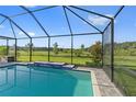 Relaxing pool with a screened enclosure offers expansive views of lush greenery and a serene escape at 14215 Swiss Bridge Dr, Riverview, FL 33579