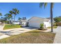 Single Gathering home featuring a lush front lawn, a beautiful garden, palm trees and long driveway to a two-car garage at 8418 Flagstone Dr, Tampa, FL 33615