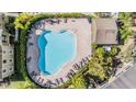 An aerial view showcases the community pool, complete with seating areas, and surrounding trees at 12537 Silverdale St, Tampa, FL 33626
