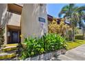 A well-maintained entrance to a condo unit, enhanced by mature landscaping and a nearby palm tree at 880 S Village Lake N Dr # 106, St Petersburg, FL 33716