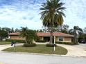 Well-maintained single-story home showcasing a circular driveway and mature landscaping at 2450 Roberta Ln, Clearwater, FL 33764