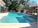 Inviting swimming pool featuring a covered outdoor dining area and lush greenery at 2450 Roberta Ln, Clearwater, FL 33764