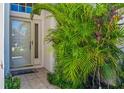 Inviting front door with decorative glass, complemented by lush tropical greenery for a welcoming entrance at 4251 Whittner Dr, Land O Lakes, FL 34639