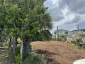 Scenic vacant lot surrounded by lush trees and decorative yard art, ideal for building a dream home at 830 S Davis Blvd, Tampa, FL 33606