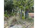 Tranquil vacant lot with mature trees, native plants, and decorative yard art, ready for new construction at 830 S Davis Blvd, Tampa, FL 33606