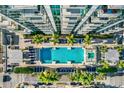 Aerial view of a rectangular pool surrounded by palm trees and comfortable lounge chairs at 777 N Ashley Dr # 1614, Tampa, FL 33602
