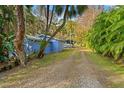 Long gravel driveway leading to a blue house with lush greenery and some vegetation on either side at 906 W Henry Ave, Tampa, FL 33604